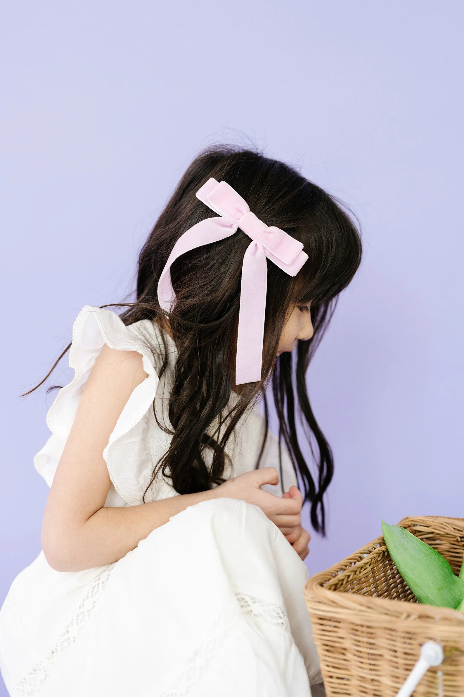 Not So Plain Jane Velvet Bows